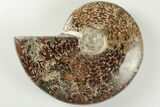 4.5" Polished Ammonite Fossil - Madagascar - #199179-1